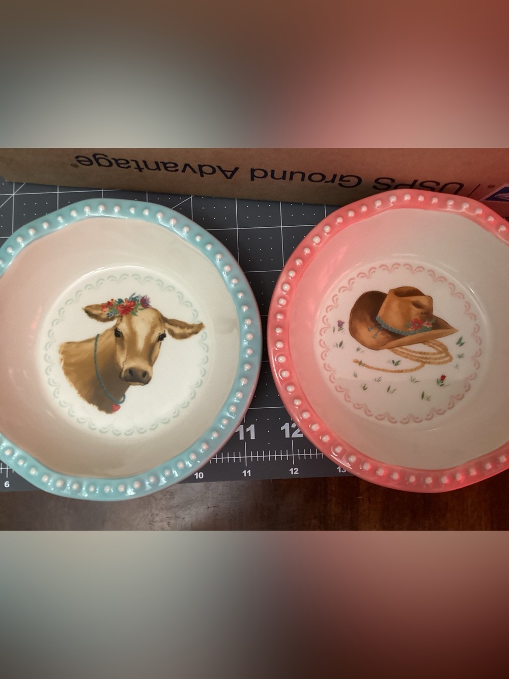 Pioneer Woman Cow & Cowboy Hat mini Ceramic pieBowls - Blue and Pink